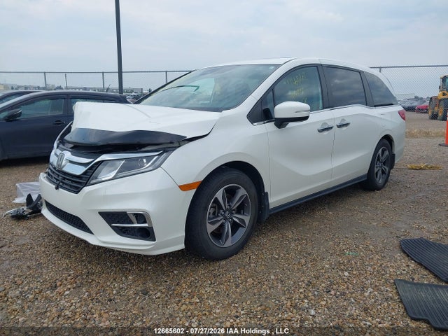 12665602 :رقم المزاد ، 5FNRL6H62KB511871 vin ، 2019 Honda Odyssey Exl مزاد بيع