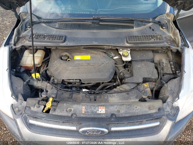 Продаж на аукціоні авто 2016 Ford Escape Se, vin: 1FMCU9GX1GUA56617, номер лоту: 12665630