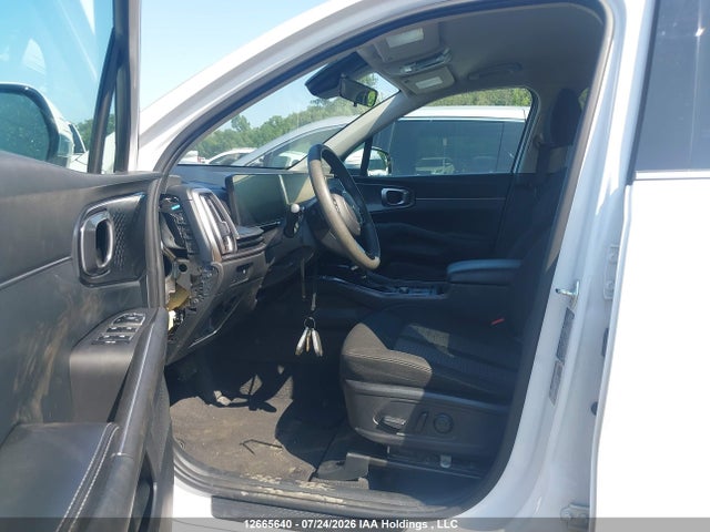KIA SORENTO LX 2024 5XYRGDJC3RG259169 Image 15