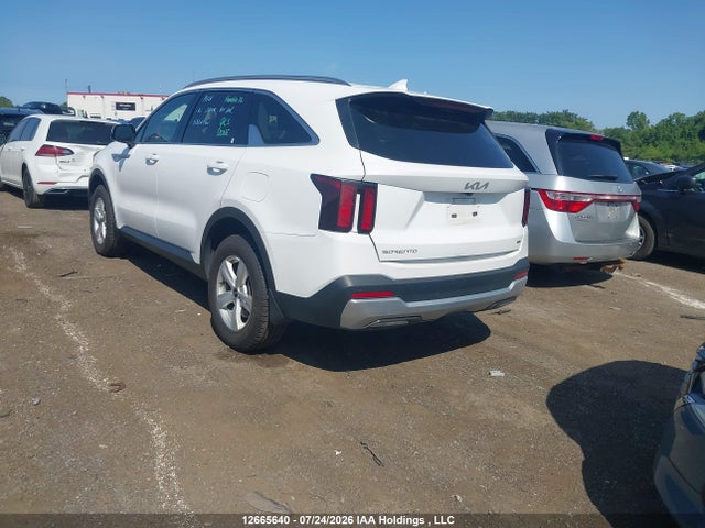 KIA SORENTO LX 2024 5XYRGDJC3RG259169 Image 3