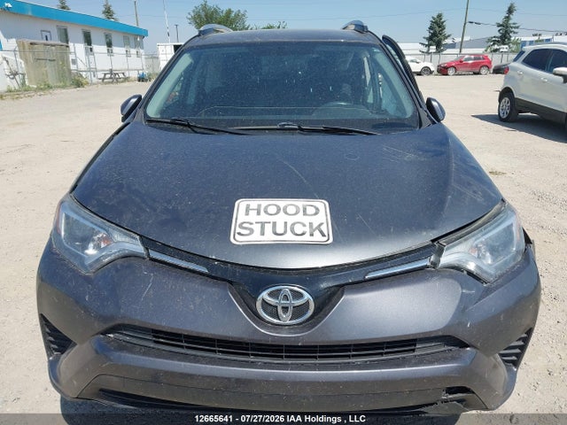 Aukcja sprzedaży 2016 Toyota Rav4 Le, vin: 2T3BFREV4GW513760, numer aukcji: 12665641