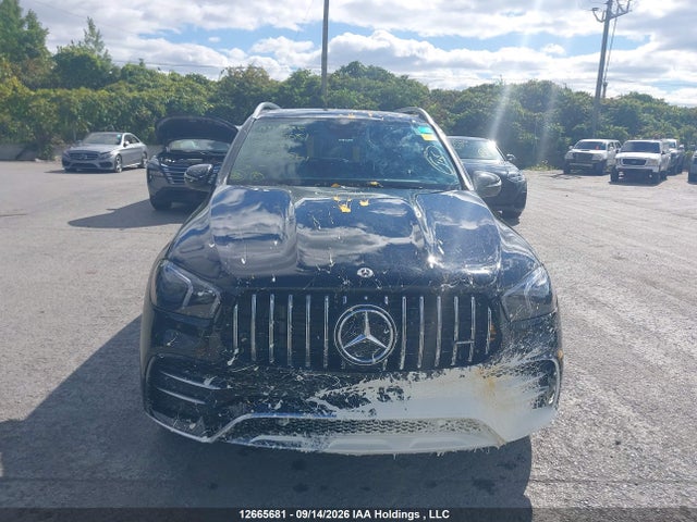 4JGFB6BB4PA925564 Mercedes-Benz Amg Gle 53 Coupe 4matic