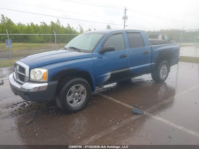 2005 Dodge Dakota Quad Slt მანქანა იყიდება აუქციონზე, vin: 1D7HW48K75S261321, აუქციონის ნომერი: 12665700