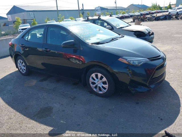 Toyota Corolla L/le/xle/se/xse 2019 2T1BURHE2KC144966 головне зображення