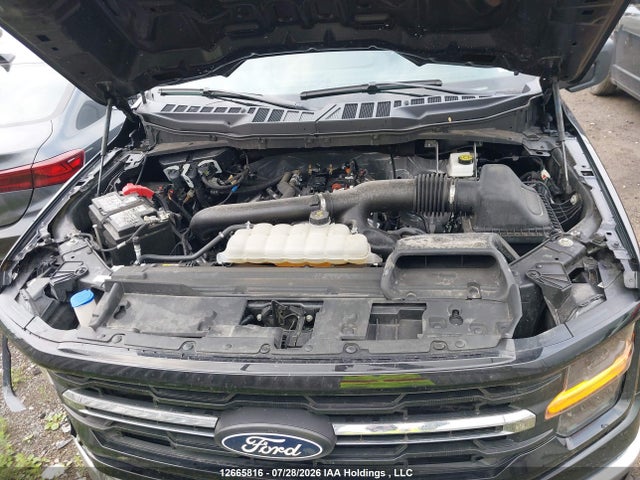 Продажа на аукционе авто 2025 Ford F150 Xlt, vin: 1FTFW3L89SKD85383, номер лота: 12665816