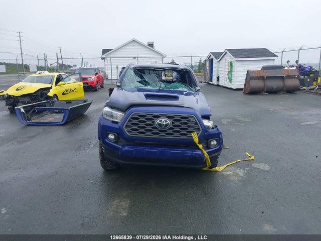 Продажа на аукционе авто 2023 Toyota Tacoma Double Cab/sr5/trd Sport/trd Off Road, vin: 3TYDZ5BN2PT030528, номер лота: 12665839