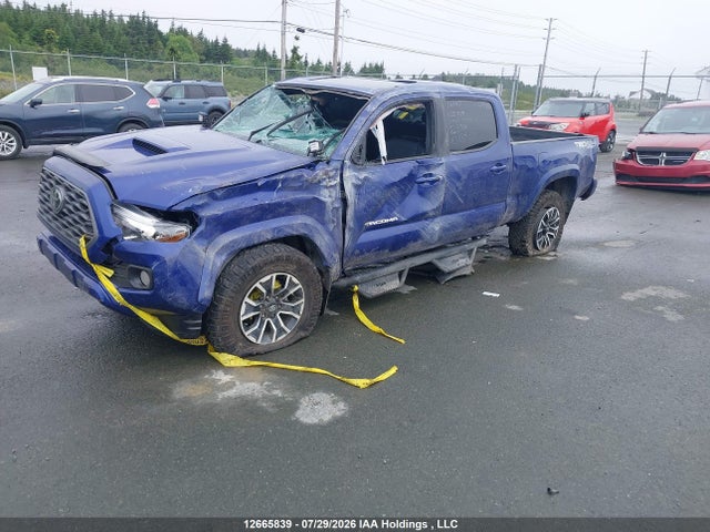 Продажа на аукционе авто 2023 Toyota Tacoma Double Cab/sr5/trd Sport/trd Off Road, vin: 3TYDZ5BN2PT030528, номер лота: 12665839