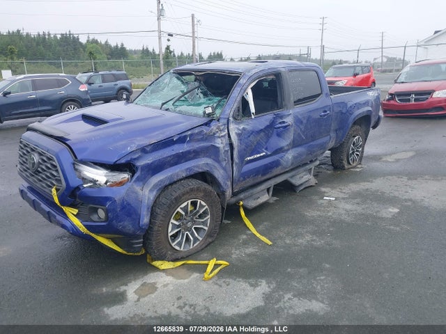 Продажа на аукционе авто 2023 Toyota Tacoma Double Cab/sr5/trd Sport/trd Off Road, vin: 3TYDZ5BN2PT030528, номер лота: 12665839