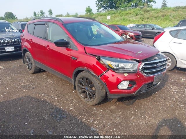 2019 1FMCU9GD6KUB12842 головне зображення