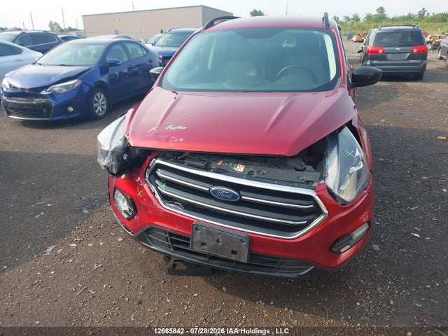 Ford ESCAPE SE 2019 1FMCU9GD6KUB12842 Image 6