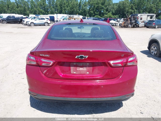 Auction sale of the 2019 Chevrolet Malibu Lt, vin: 1G1ZD5ST3KF171513, lot number: 12665856