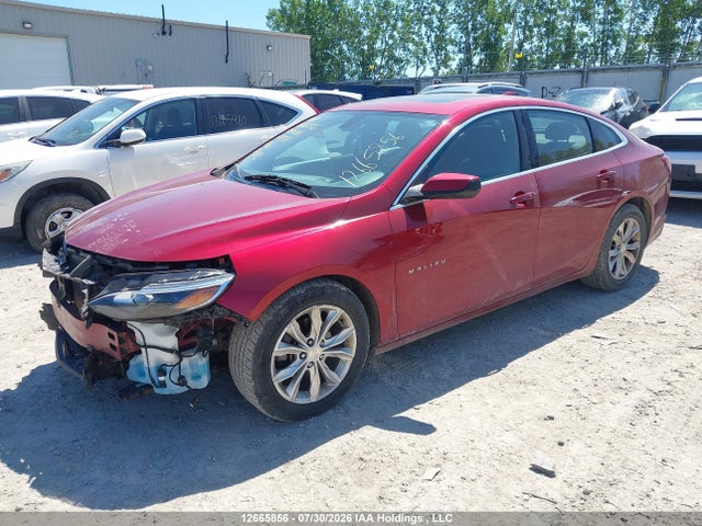 Продаж на аукціоні авто 2019 Chevrolet Malibu Lt, vin: 1G1ZD5ST3KF171513, номер лоту: 12665856