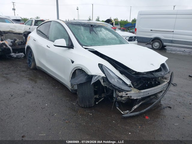 2024 Tesla Model Y მანქანა იყიდება აუქციონზე, vin: 7SAYGDEE9RF026429, აუქციონის ნომერი: 12665869