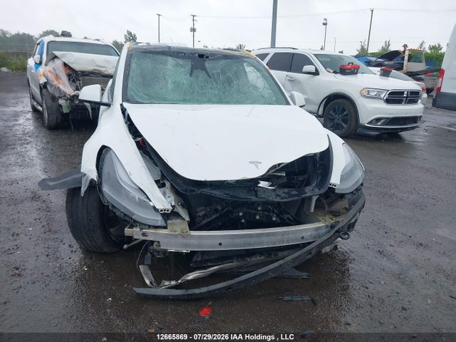 2024 Tesla Model Y მანქანა იყიდება აუქციონზე, vin: 7SAYGDEE9RF026429, აუქციონის ნომერი: 12665869