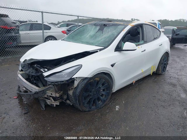 2024 Tesla Model Y მანქანა იყიდება აუქციონზე, vin: 7SAYGDEE9RF026429, აუქციონის ნომერი: 12665869