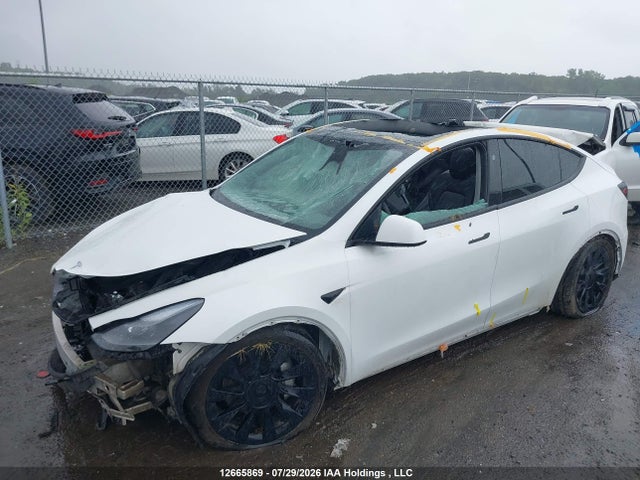2024 Tesla Model Y მანქანა იყიდება აუქციონზე, vin: 7SAYGDEE9RF026429, აუქციონის ნომერი: 12665869