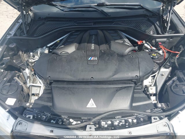 BMW X6 M 2016 5YMKW8C58G0R43252 Image 10