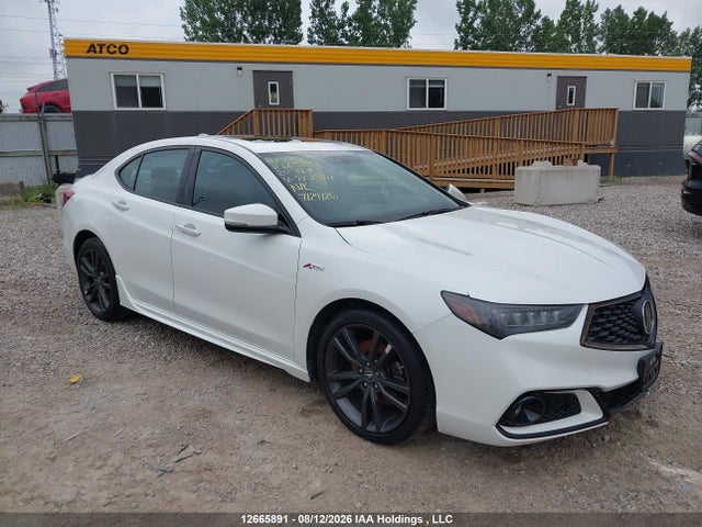 2020 Acura Tlx Technology/a-spec მანქანა იყიდება აუქციონზე, vin: 19UUB3F65LA802391, აუქციონის ნომერი: 12665891