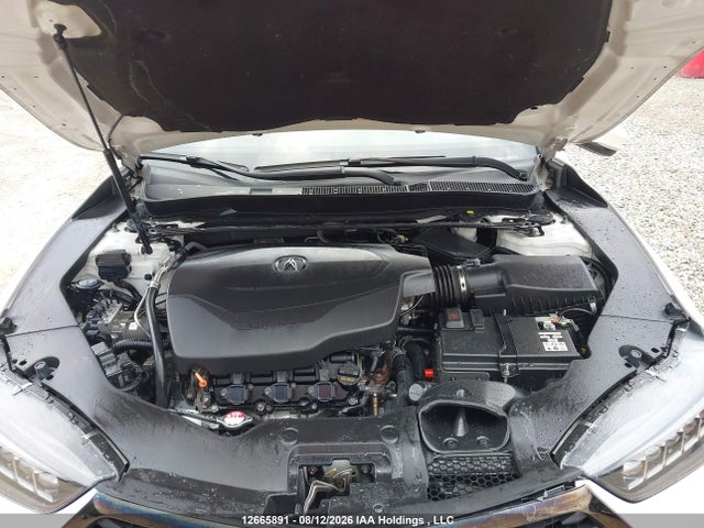 2020 Acura Tlx Technology/a-spec მანქანა იყიდება აუქციონზე, vin: 19UUB3F65LA802391, აუქციონის ნომერი: 12665891