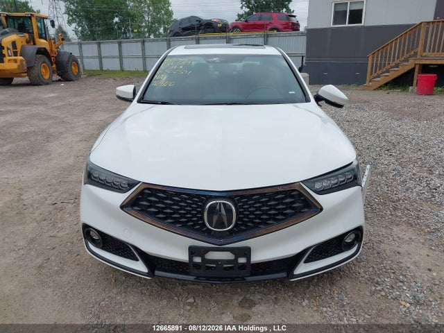 2020 Acura Tlx Technology/a-spec მანქანა იყიდება აუქციონზე, vin: 19UUB3F65LA802391, აუქციონის ნომერი: 12665891