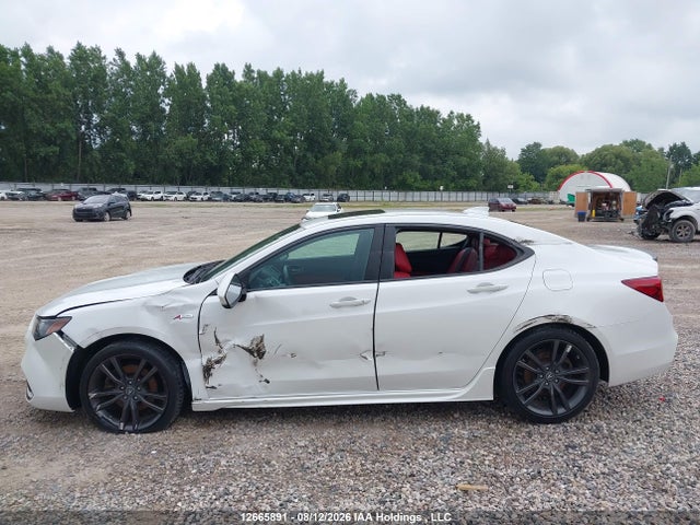 2020 Acura Tlx Technology/a-spec მანქანა იყიდება აუქციონზე, vin: 19UUB3F65LA802391, აუქციონის ნომერი: 12665891