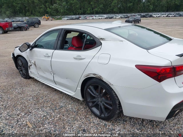 2020 Acura Tlx Technology/a-spec მანქანა იყიდება აუქციონზე, vin: 19UUB3F65LA802391, აუქციონის ნომერი: 12665891