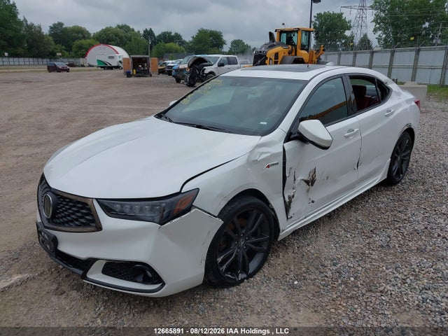 2020 Acura Tlx Technology/a-spec მანქანა იყიდება აუქციონზე, vin: 19UUB3F65LA802391, აუქციონის ნომერი: 12665891