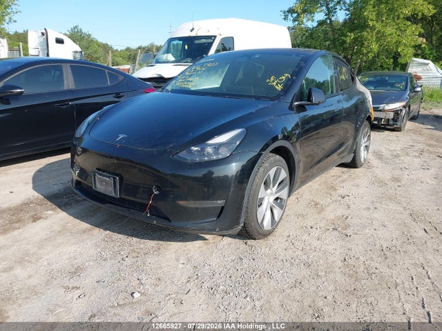 12665927 :رقم المزاد ، 7SAYGDEE1NF564956 vin ، 2022 Tesla Model Y Long Range مزاد بيع