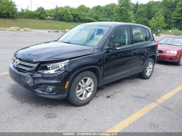 Продаж на аукціоні авто 2013 Volkswagen Tiguan, vin: WVGJV7AX9DW556378, номер лоту: 12665931