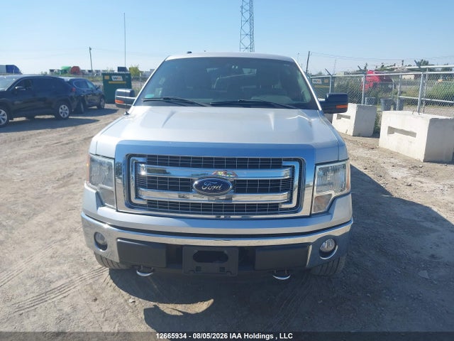 1FTEX1EMXEFA64201 Ford F-150 Xlt