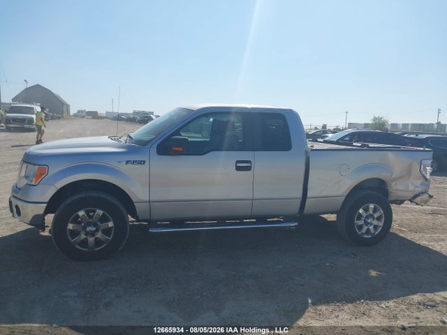 1FTEX1EMXEFA64201 Ford F-150 Xlt