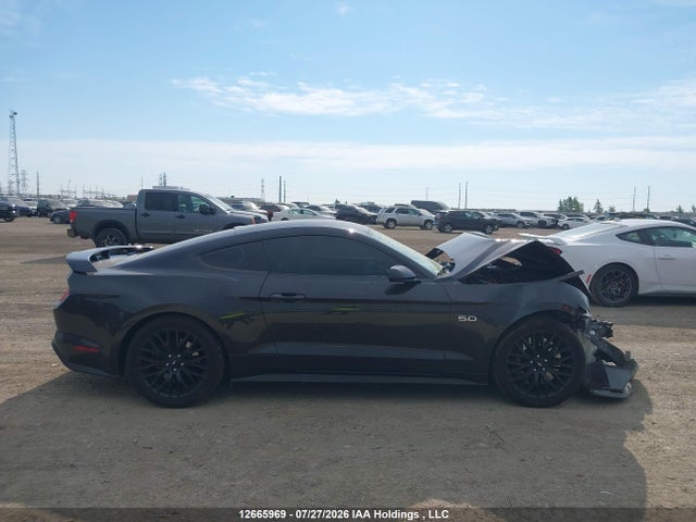 Ford MUSTANG GT 2023 1FA6P8CF3P5303152 Image 14