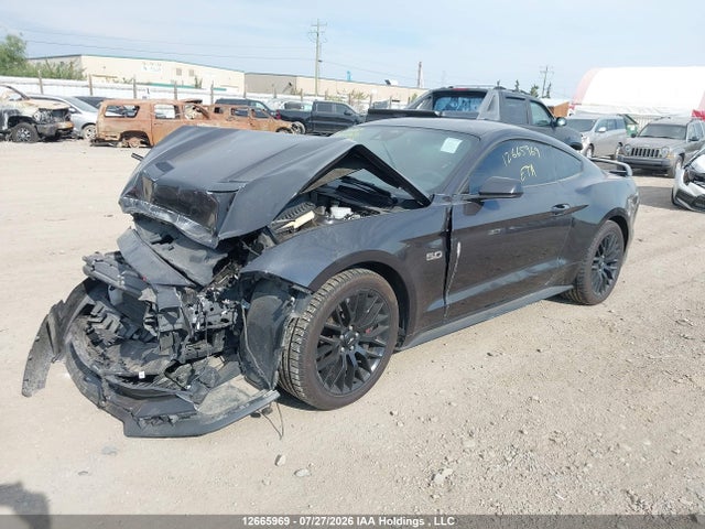 Ford MUSTANG GT 2023 1FA6P8CF3P5303152 Image 2