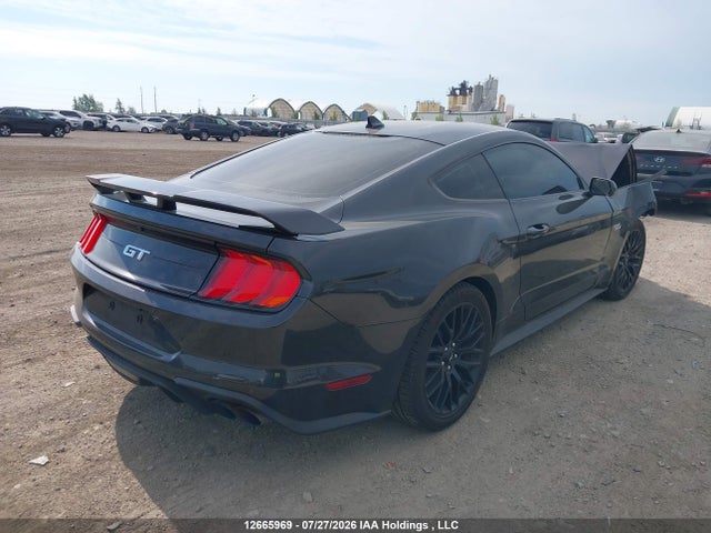 Ford MUSTANG GT 2023 1FA6P8CF3P5303152 Image 4