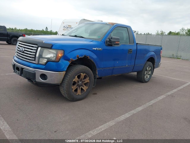 12665978 :رقم المزاد ، 1FTMF1EM5BFB67388 vin ، 2011 Ford F150 مزاد بيع