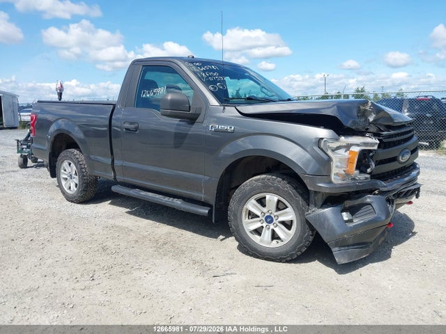 2018 1FTMF1EP7JKD75322 main image