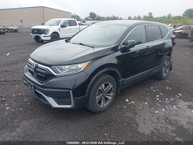 Honda CR-V LX 2021 2HKRW2H20MH232291 Image 2
