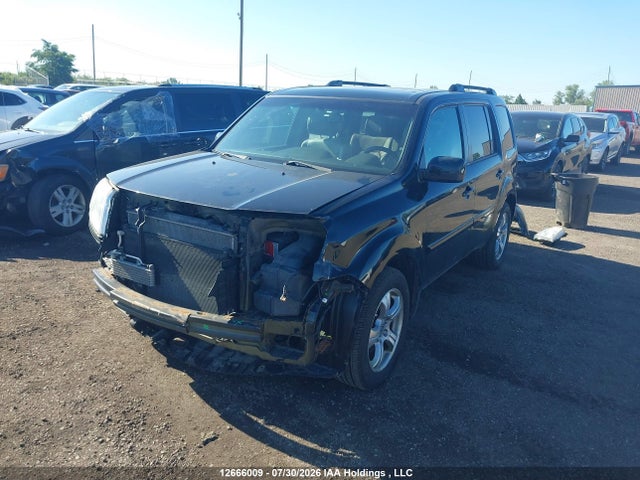 5FNYF4H59EB503981 Honda Pilot Ex-l