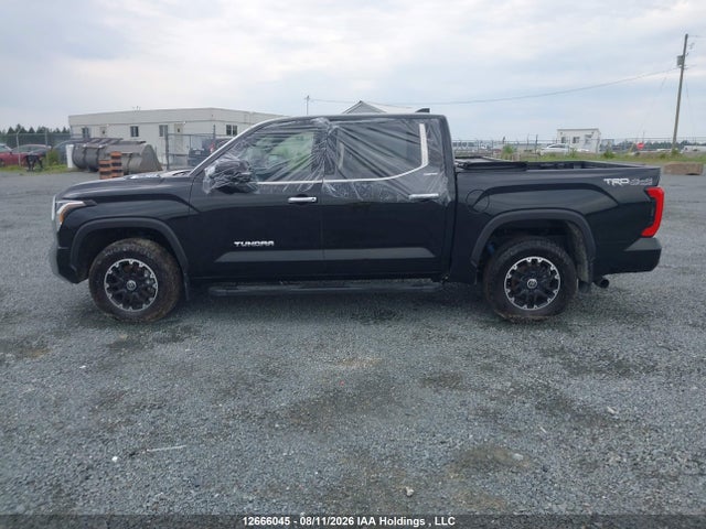 2023 Toyota Tundra Hybrid Limited მანქანა იყიდება აუქციონზე, vin: 5TFJC5DB0PX024188, აუქციონის ნომერი: 12666045