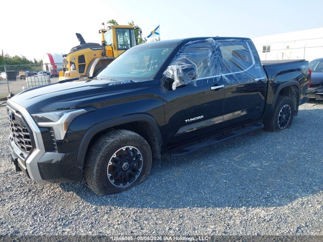 2023 Toyota Tundra Hybrid Limited მანქანა იყიდება აუქციონზე, vin: 5TFJC5DB0PX024188, აუქციონის ნომერი: 12666045