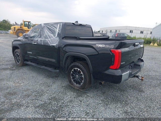 2023 Toyota Tundra Hybrid Limited მანქანა იყიდება აუქციონზე, vin: 5TFJC5DB0PX024188, აუქციონის ნომერი: 12666045