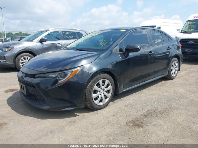 12666073 :رقم المزاد ، 5YFBPRBE7LP018149 vin ، 2020 Toyota Corolla L/le/xle مزاد بيع