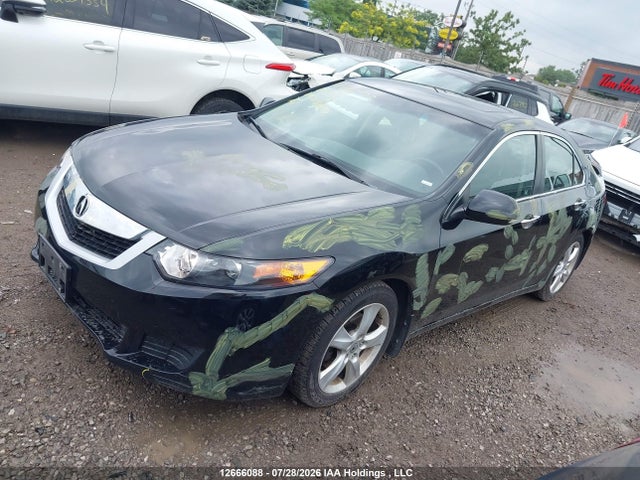 2009 Acura Tsx მანქანა იყიდება აუქციონზე, vin: JH4CU26449C803699, აუქციონის ნომერი: 12666088