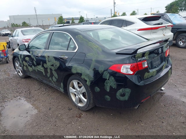 2009 Acura Tsx მანქანა იყიდება აუქციონზე, vin: JH4CU26449C803699, აუქციონის ნომერი: 12666088