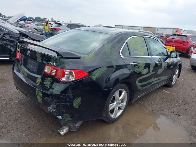 2009 Acura Tsx მანქანა იყიდება აუქციონზე, vin: JH4CU26449C803699, აუქციონის ნომერი: 12666088