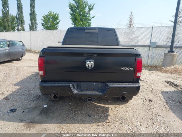 12666107 :رقم المزاد ، 1C6RR7MT2DS503198 vin ، 2013 Ram 1500 Sport مزاد بيع