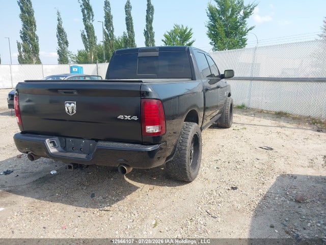 12666107 :رقم المزاد ، 1C6RR7MT2DS503198 vin ، 2013 Ram 1500 Sport مزاد بيع