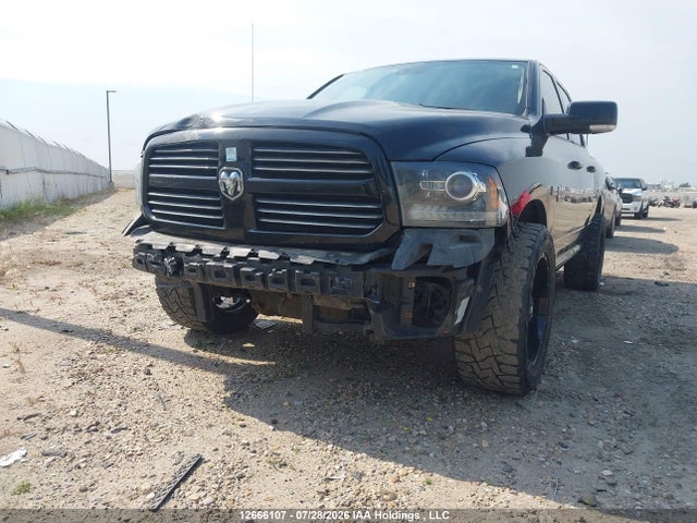 12666107 :رقم المزاد ، 1C6RR7MT2DS503198 vin ، 2013 Ram 1500 Sport مزاد بيع
