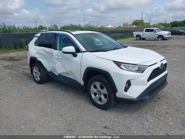 12666207 :رقم المزاد ، 2T3R1RFV3LC097935 vin ، 2020 Toyota Rav4 Xle/xle Premium مزاد بيع