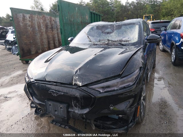 Ford Mustang Mach-e Premium 2023 3FMTK3SSXPMA39785 Image 13